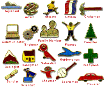 Webelos Activity Badges