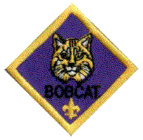 Bobcat rank