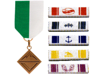 Venturing Bronze Awards (medal / ribbons)