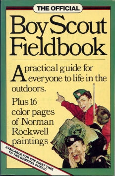 2nd Edition, commercial edition front cover