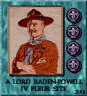 Lord Baden-Powell Four-Fleur Award