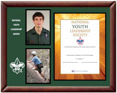 National Youth Leadership Award