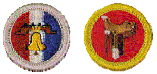 Eagle & Regular Merit Badges