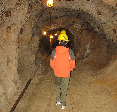 Exploring the Mine