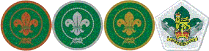 Bronze/Silver/Gold Scout Awards, Chief Scout's Award