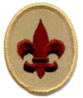 Scout Badge