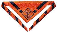 Tiger Cub neckerchief