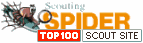 Top 100 Scout Site