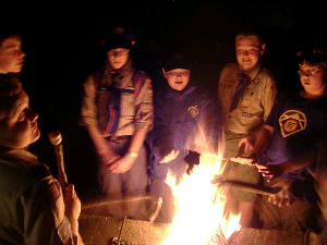 Toasting Marshmallows around the Campfire