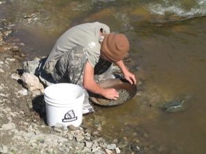 Panning for Gold near the Arctic Circle Panning for Gold near the Arctic Circle