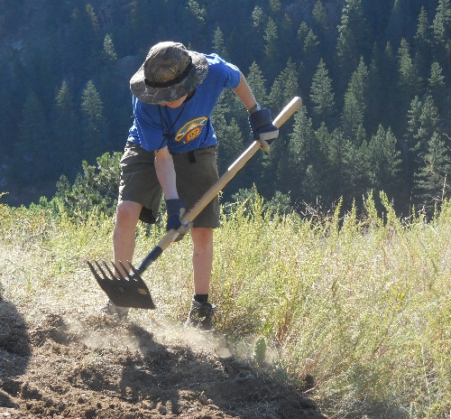 Trail Work at Erik's Eagle Service Project