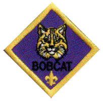 former Bobcat badge (discontinued 2024) former Bobcat badge (discontinued 2024)