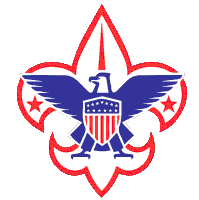 BSA Logo