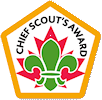 Chief Scout's Award