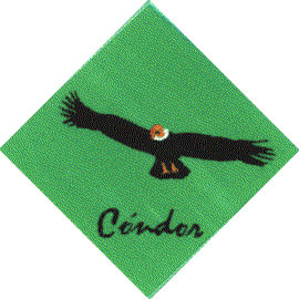 Cóndor Scout / Chile