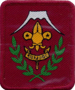 Scout Leader 15 YEARS LONG SERVICES MEDAL Emblem Patch SCOUTS OF MALDIVES 