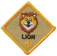 Cub Scout Badge Placement Confusion : r/cubscouts