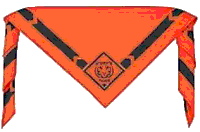 Tiger neckerchief